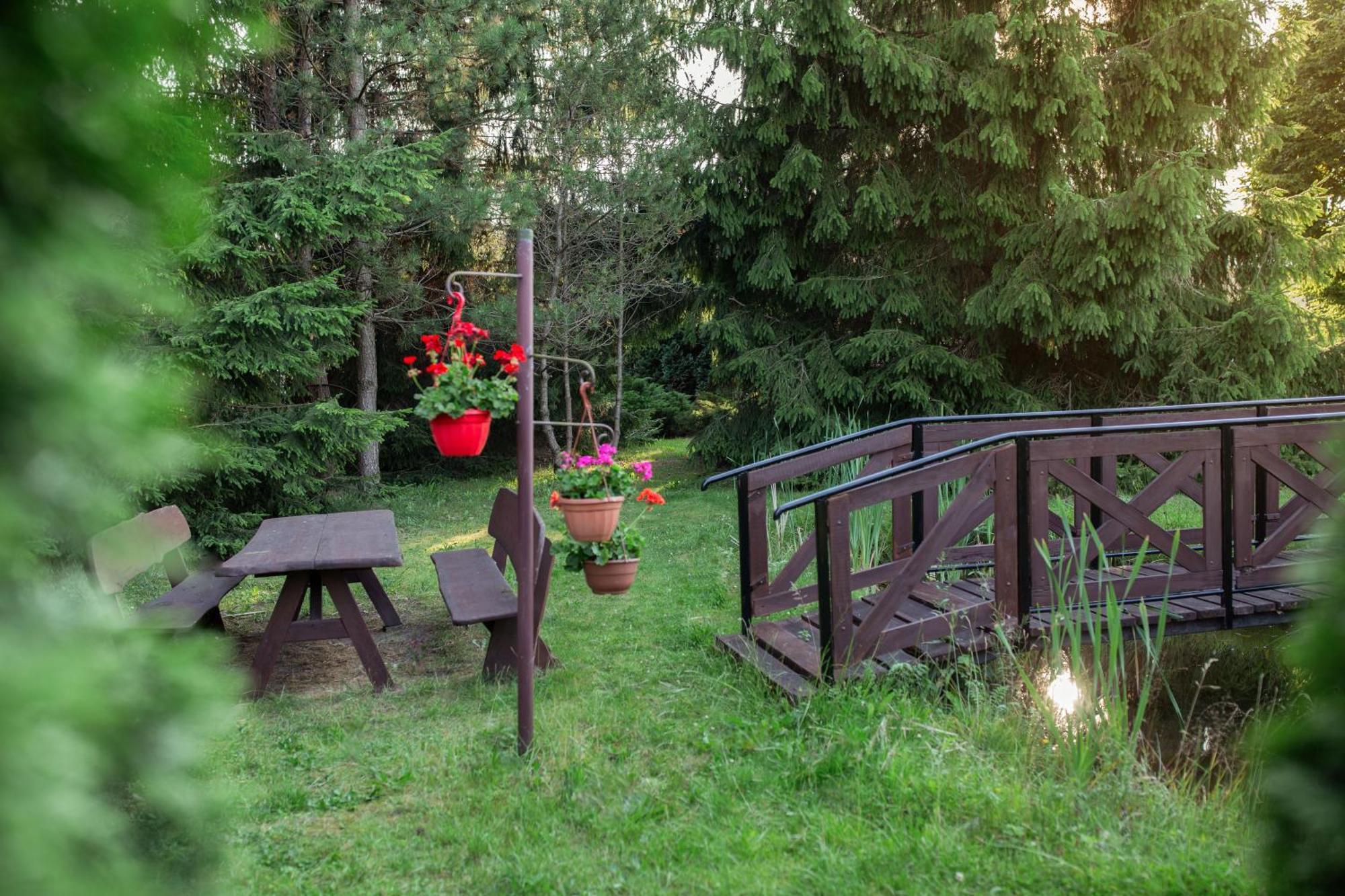 Noclegi Ciesiul Orneta Buitenkant foto