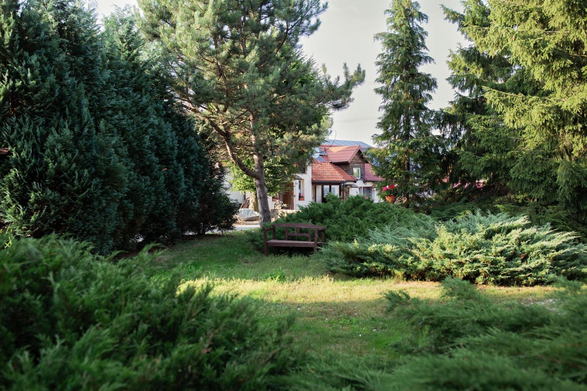 Noclegi Ciesiul Orneta Buitenkant foto